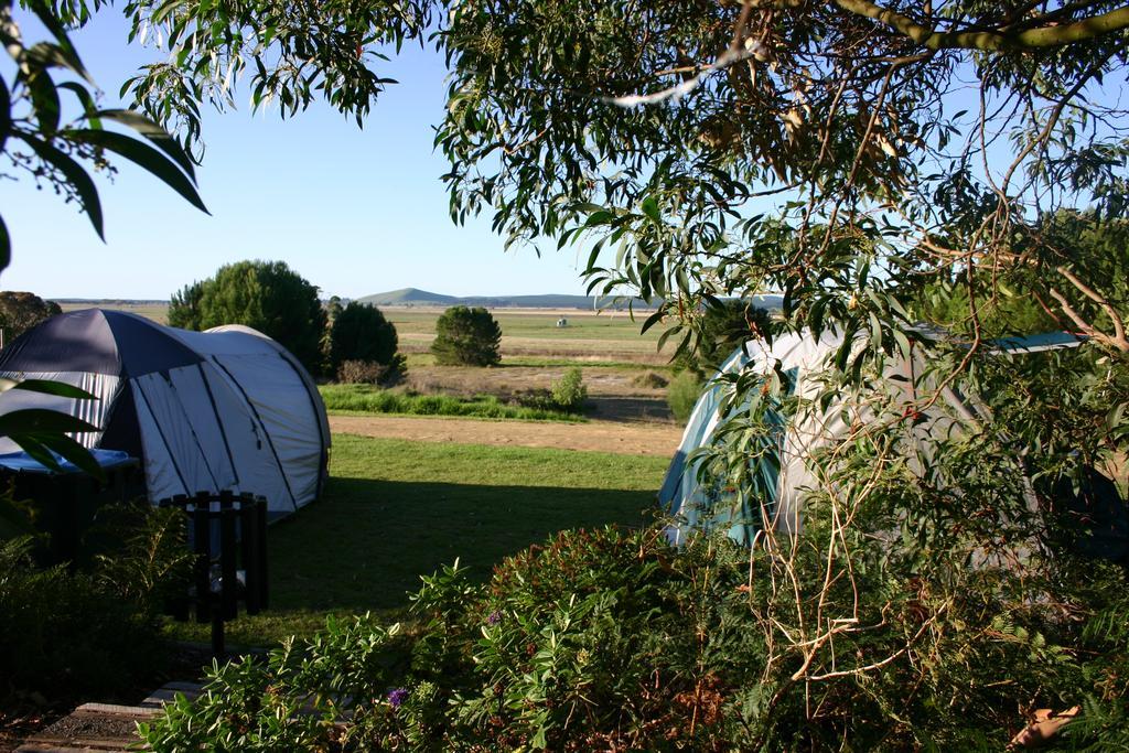 Millicent Hillview Caravan Park Eksteriør billede