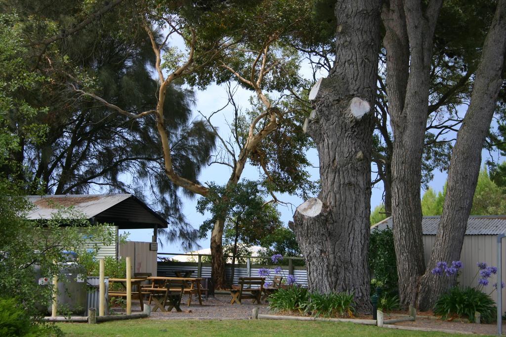 Millicent Hillview Caravan Park Eksteriør billede