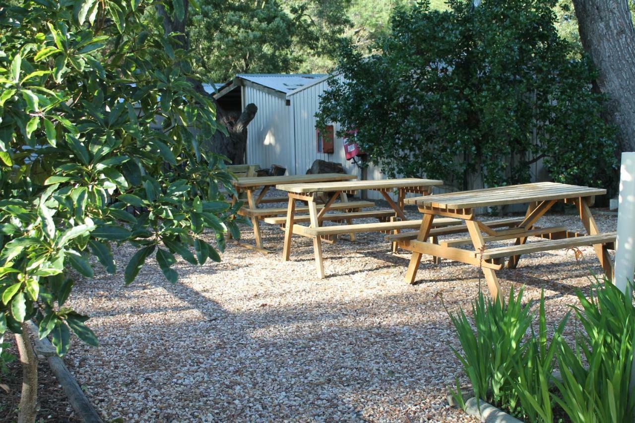 Millicent Hillview Caravan Park Eksteriør billede